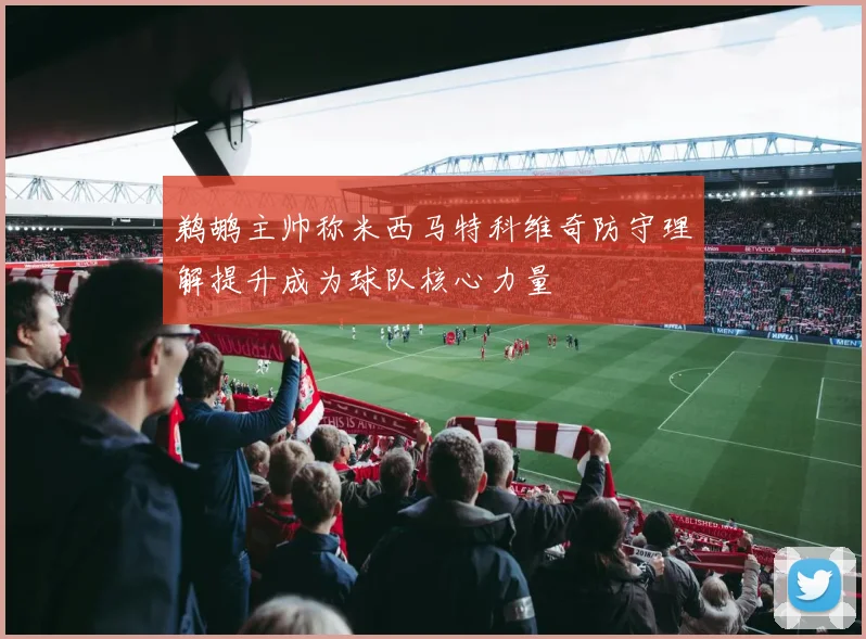 鹈鹕主帅称米西马特科维奇防守理解提升成为球队核心力量