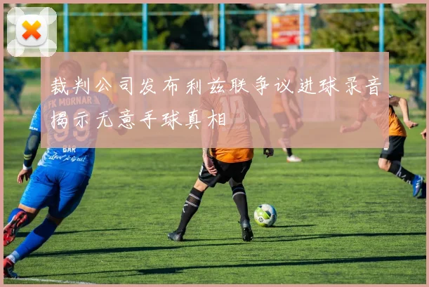 裁判公司发布利兹联争议进球录音揭示无意手球真相