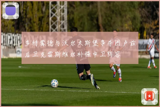 多特蒙德与沃尔夫斯堡争夺图卢兹后卫克雷斯维尔补强中卫阵容