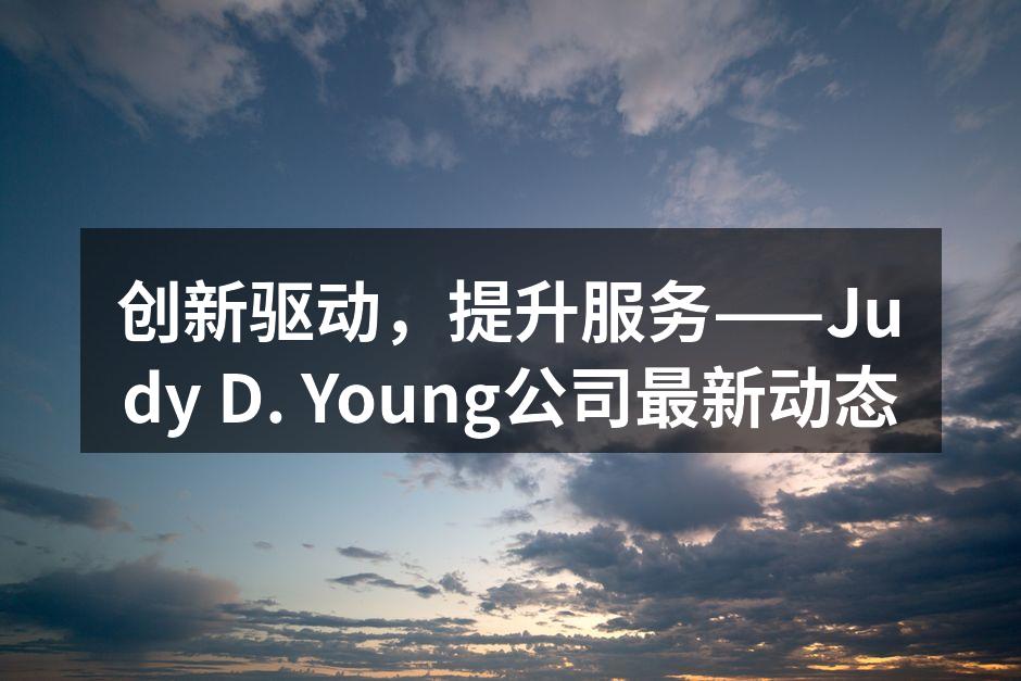 Judy D. Young公司团队在会议中讨论新策略