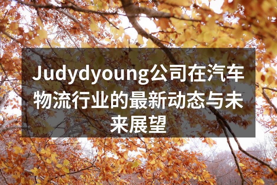 Judydyoung公司物流中心一角